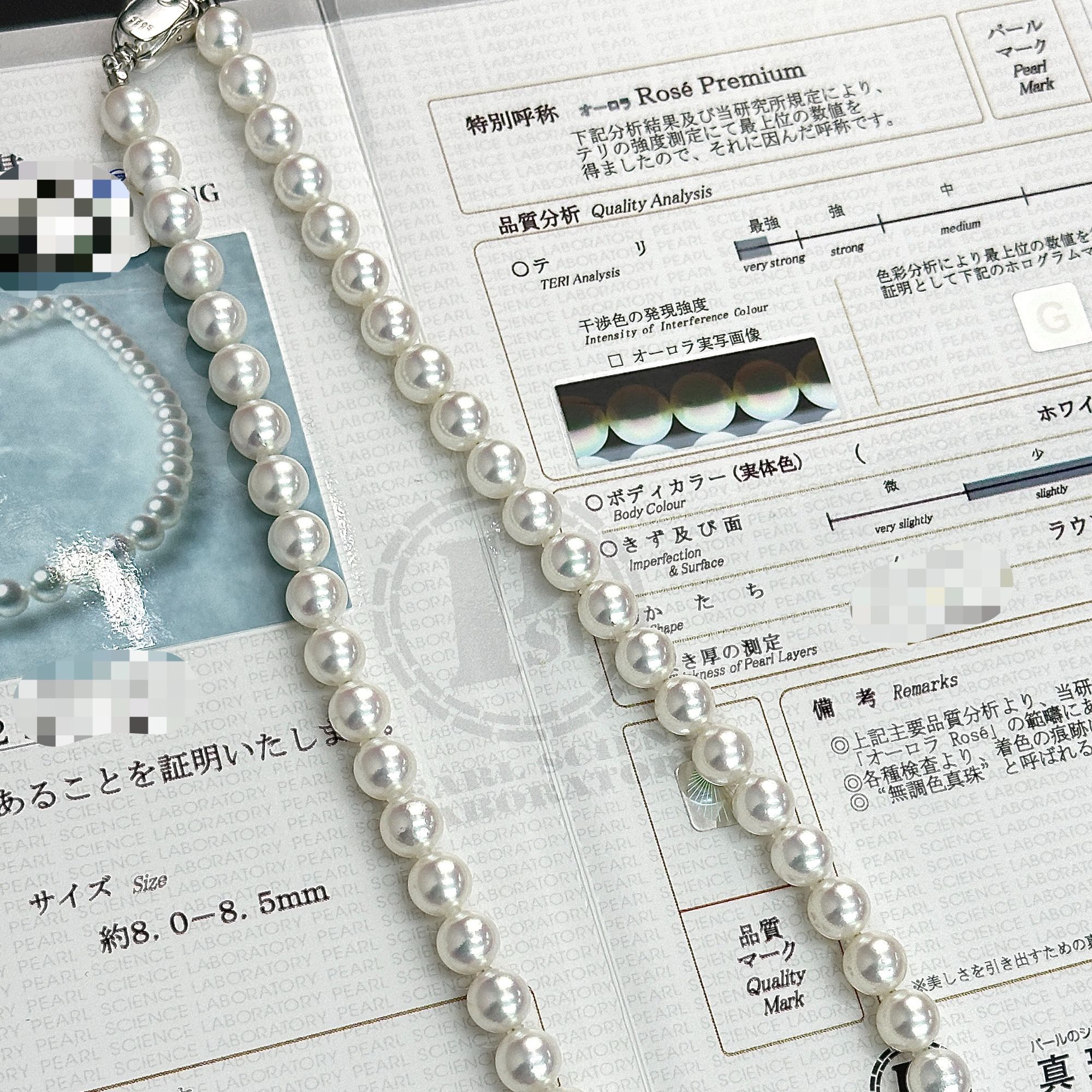 【新品福利】无调roseP 8-8.5mm真科研大证海水AKOYA珍珠项链