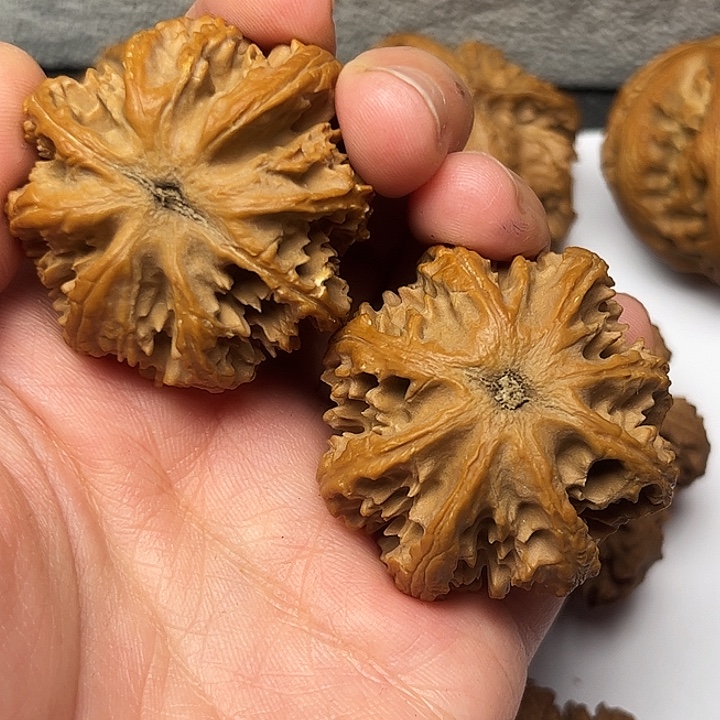 秦岭文玩核桃核桃