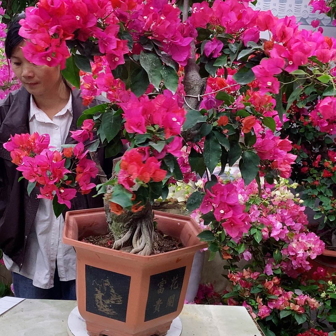 完全开放我要好好学习