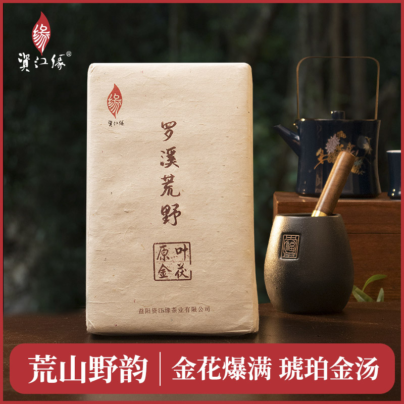 【荒野茯砖】罗溪荒野 9年陈荒野茶 金花饱满 荒山野韵 安化黑茶