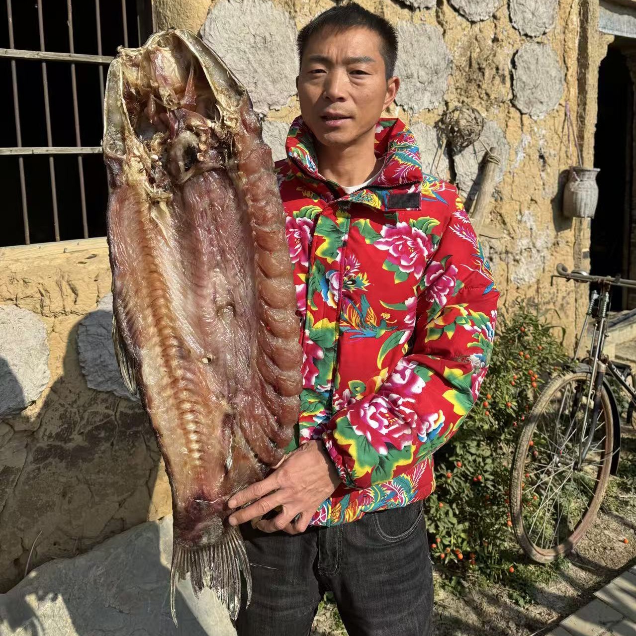 【现称】青鱼农家腌制风干咸鱼腊鱼干货