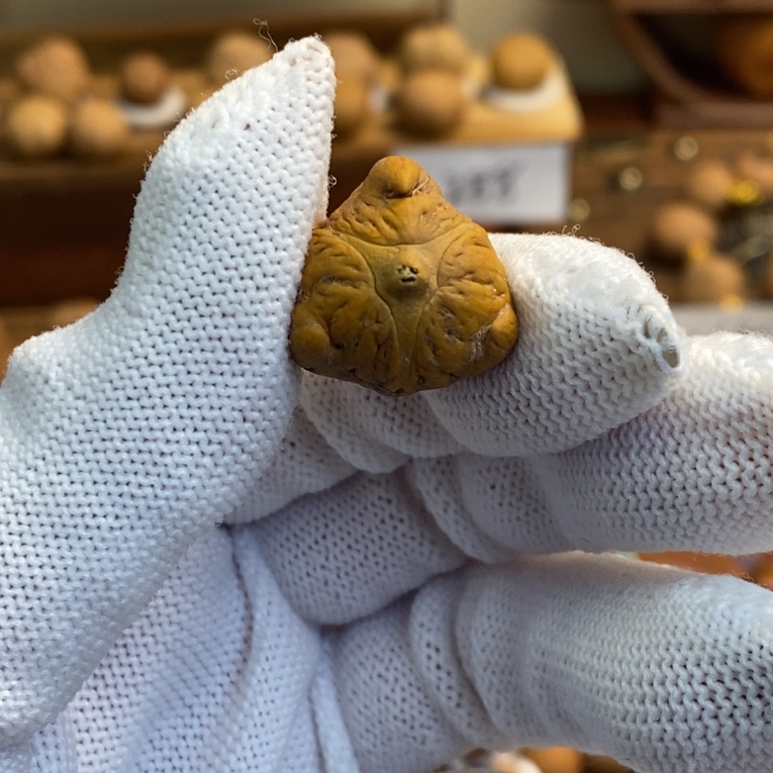 凤眼菩提吊坠18龙眼龙爪