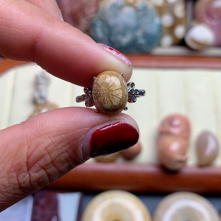 硅化珊瑚（珊瑚玉）颈饰未镶嵌