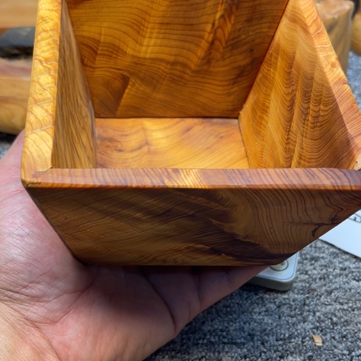 柏木（崖柏）崖柏564