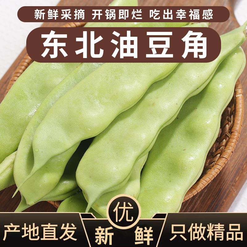 东北紫花油豆角新鲜蔬菜五斤