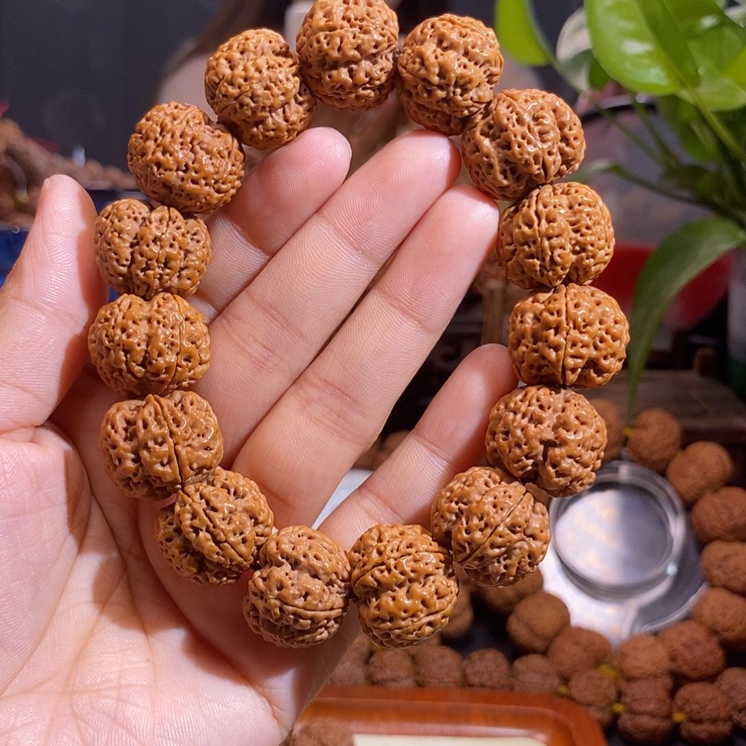 金刚菩提手串梅花双龙20mm