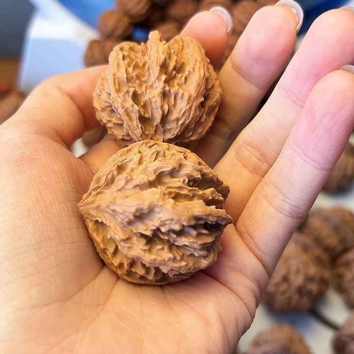 秦岭山脉的形成过程4