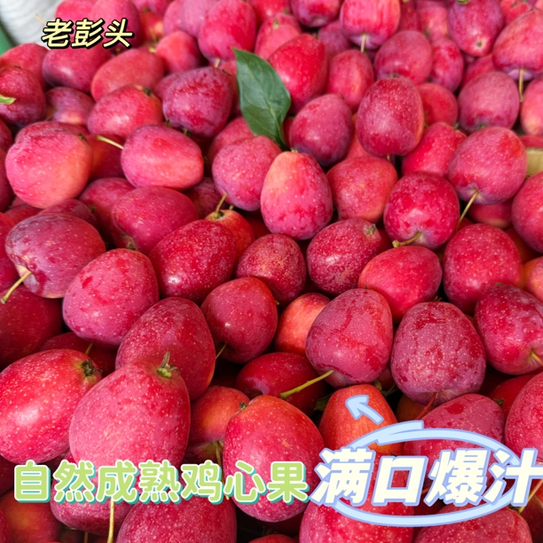 【果园直发】东北特产新鲜采摘脆甜可口鸡心果当季水果锦绣海棠