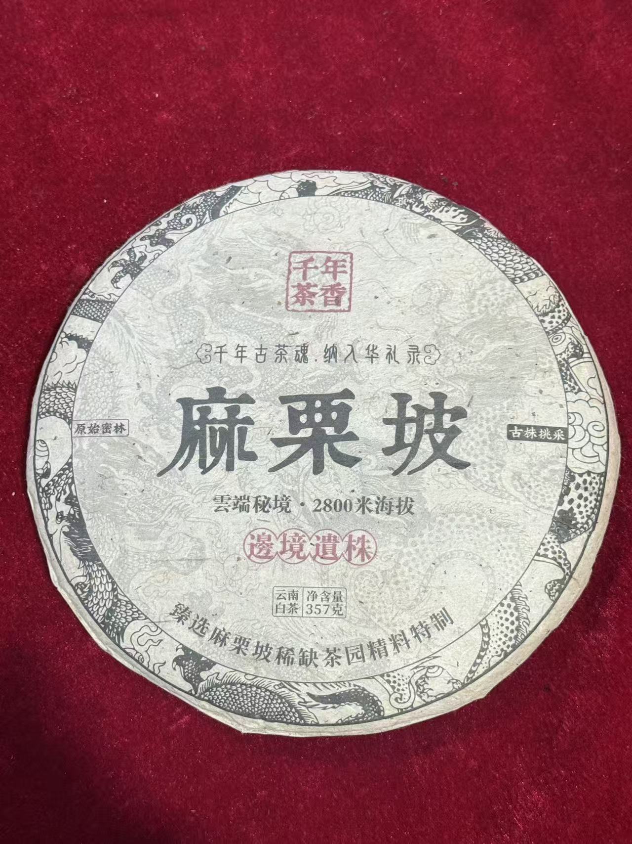 麻栗坡 云南白茶