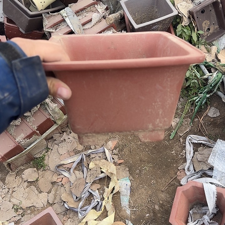 不说算什么呀亲爱的在那你干吧