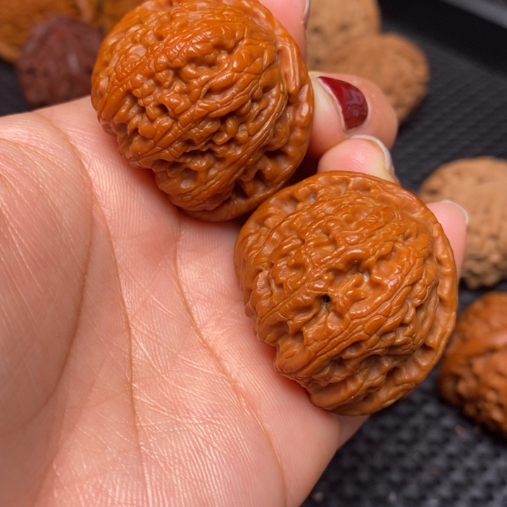 秦岭野生000000009