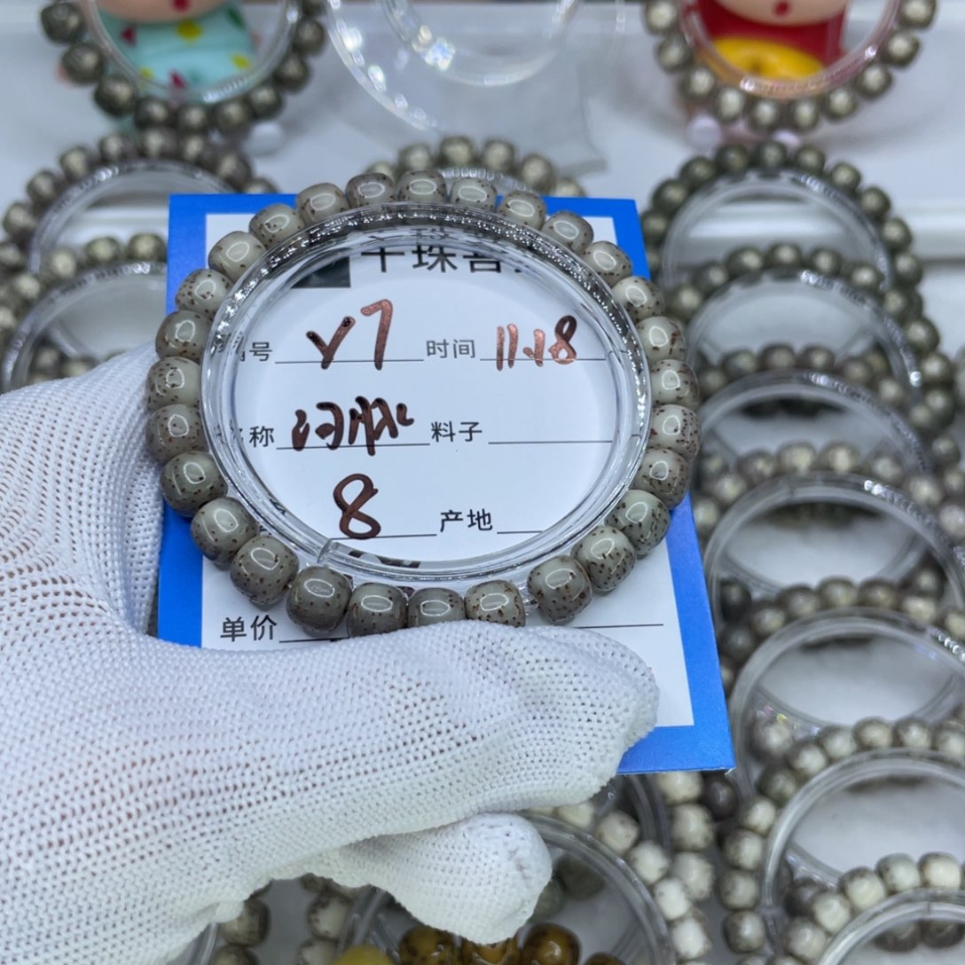 菩提籽类Y7河豚00