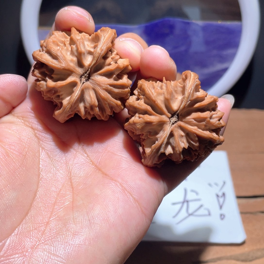 清***气S058。  43尺。 大龙