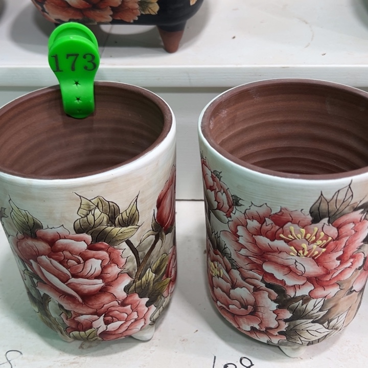 漂***肉花盆紫砂水晶花盆173