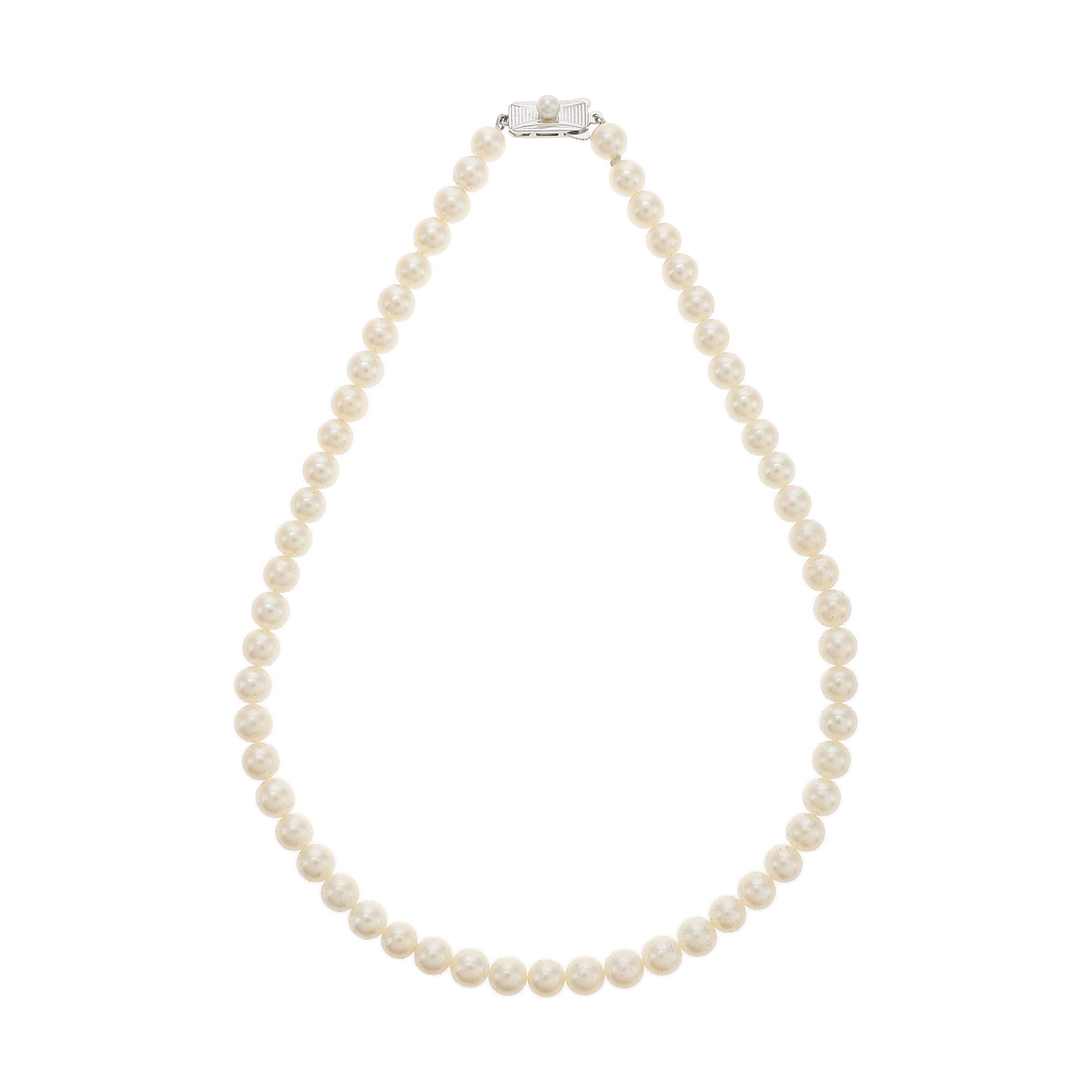 红布林/C1开箱/御木本/10544169/z/121505