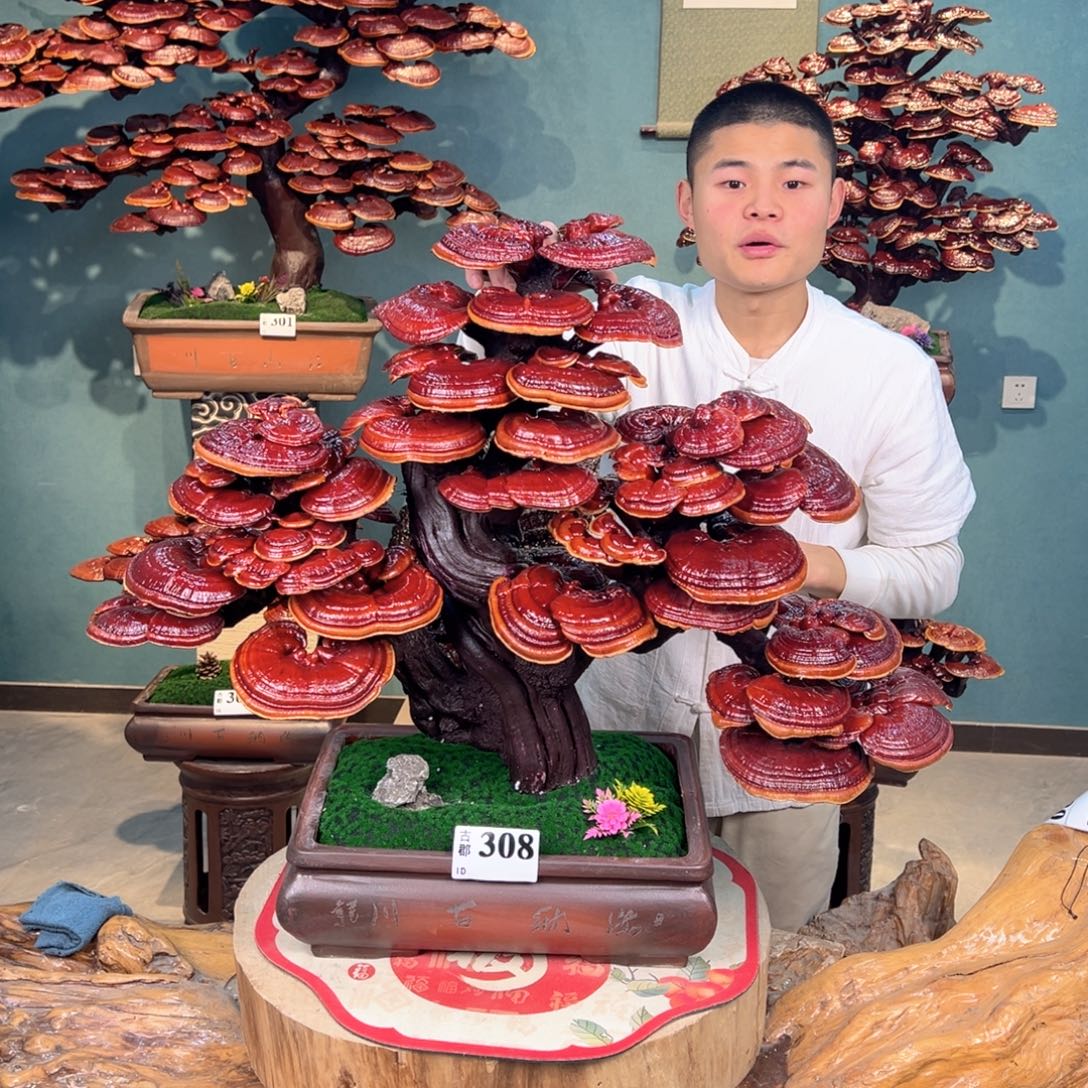 无花朵86866886886