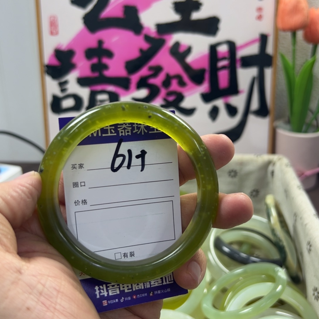 蛇纹石玉手镯未镶嵌567