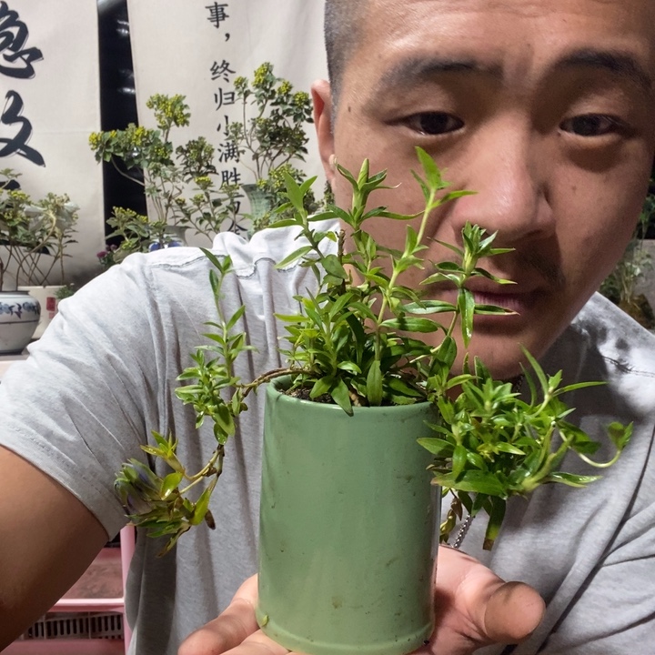 无花朵退款拉黑拉黑19