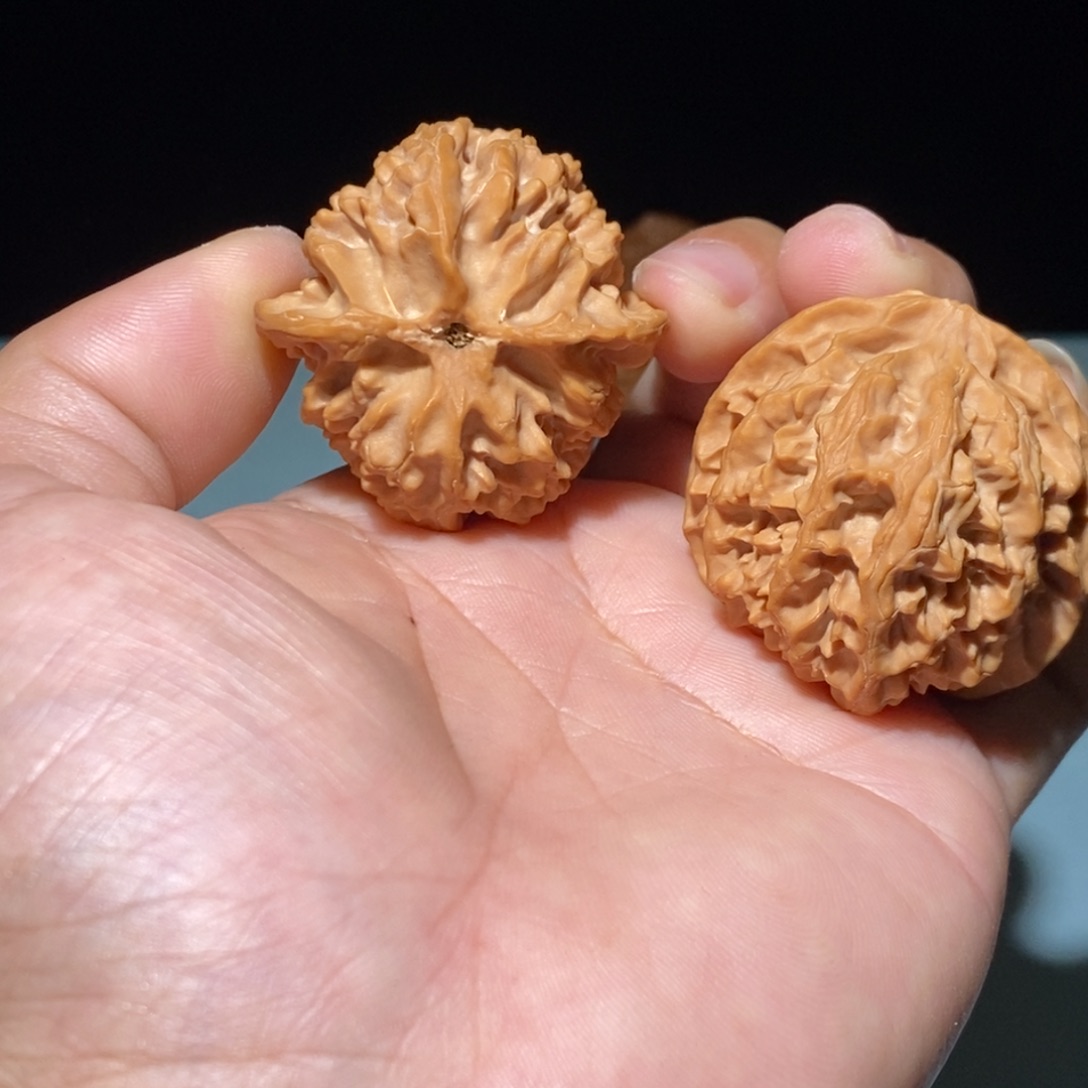 核桃40尺全品苹果园