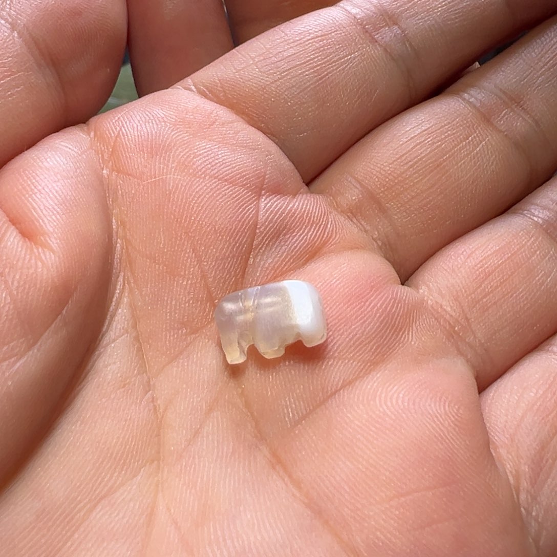 5***1玛瑙/玉髓颈饰未镶嵌