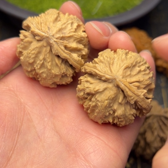 文玩核桃把件秦岭核桃35