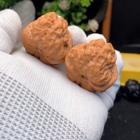 文玩核桃把件40四来肌肉蛙