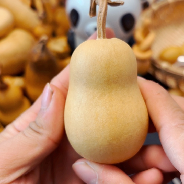 @****t88888888888888888