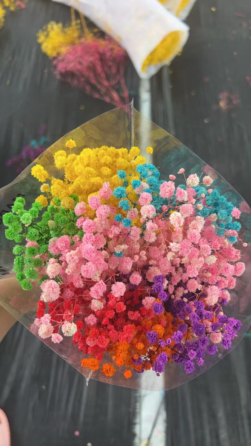 永生满天星体验装