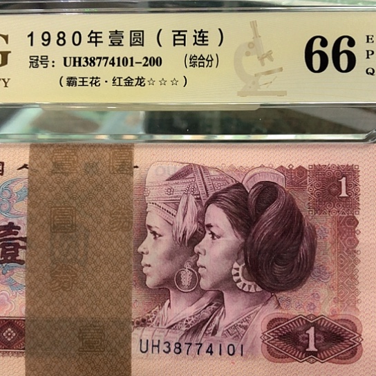 38774101百连红金龙——————-