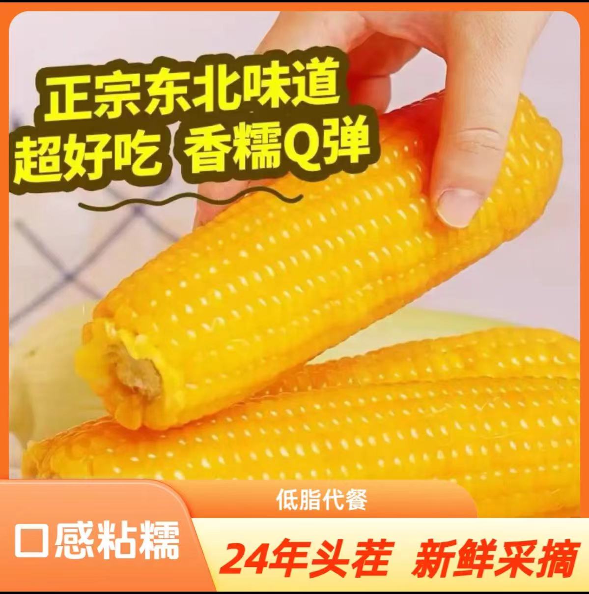 起初家园 2025年新黄糯玉米 真空锁鲜 五斤计量称重不论支