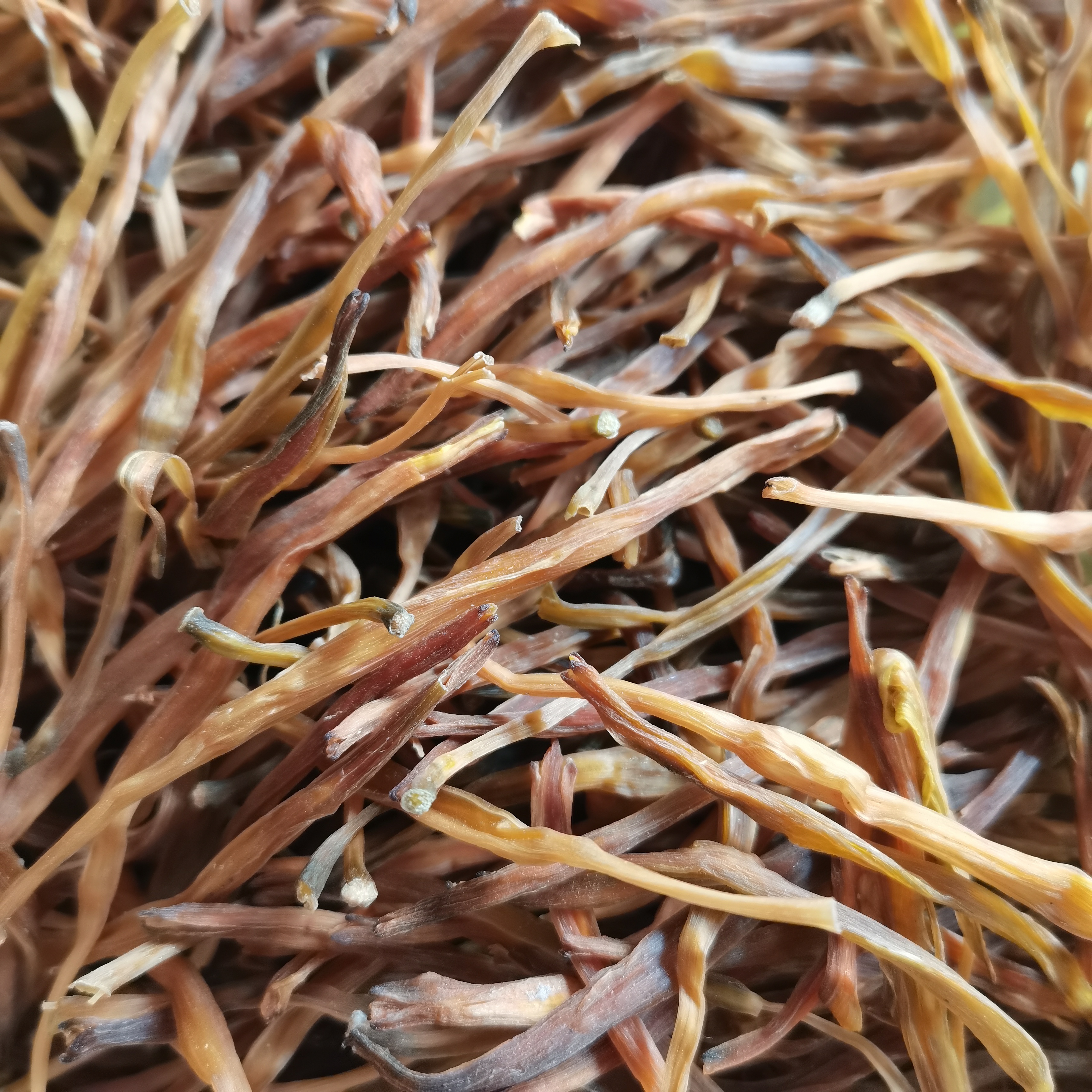 【书记助农】当季蔬菜.黄花菜干京东发货