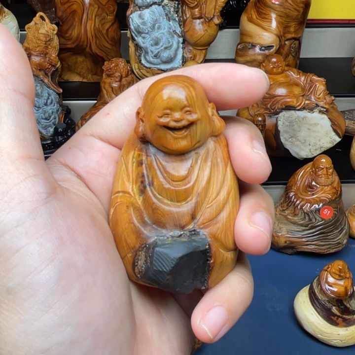 柏木（崖柏）222552555