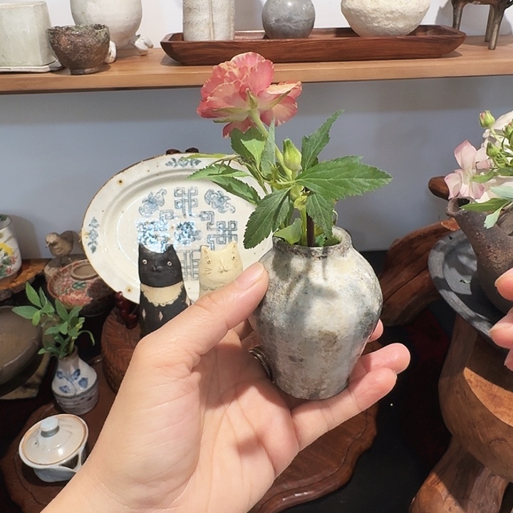 日本高端陶瓷器皿