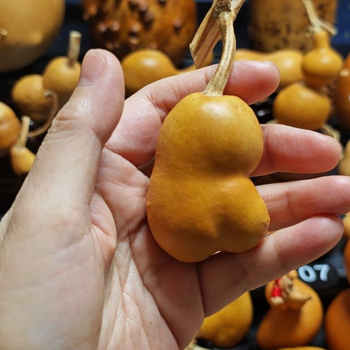 咘****直播间链接葫芦葫芦
