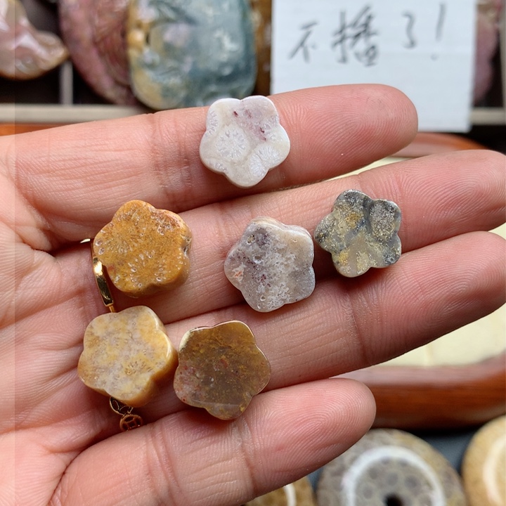 硅化珊瑚（珊瑚玉）颈饰未镶嵌