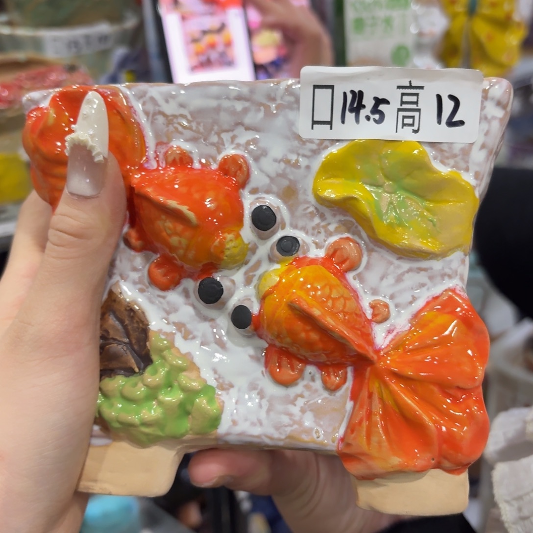本场直播满百送个盆