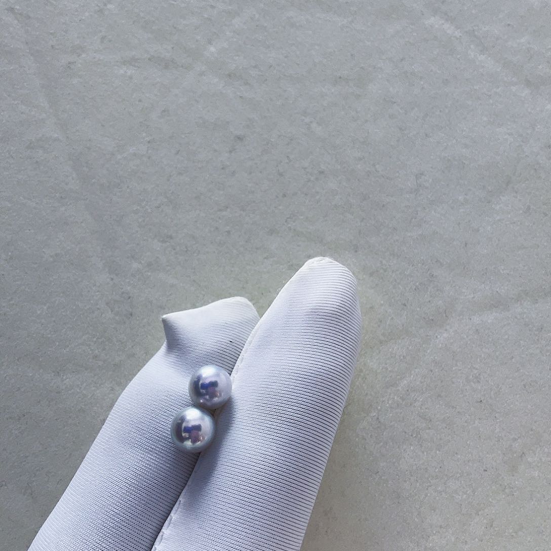 海水珍珠海水akoya真多麻色耳钉6-6.5mm18K金镶嵌