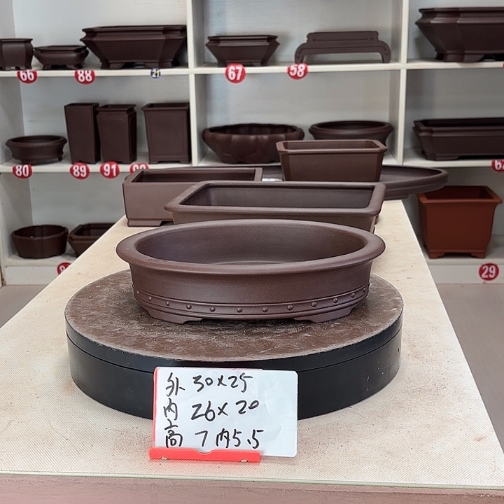 功***茶花盆紫砂双线椭圆