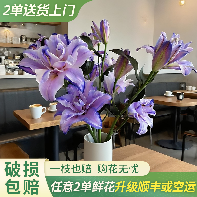【柔柔甄选】幽梦重瓣百合 任意2单鲜花升级顺丰京东德邦