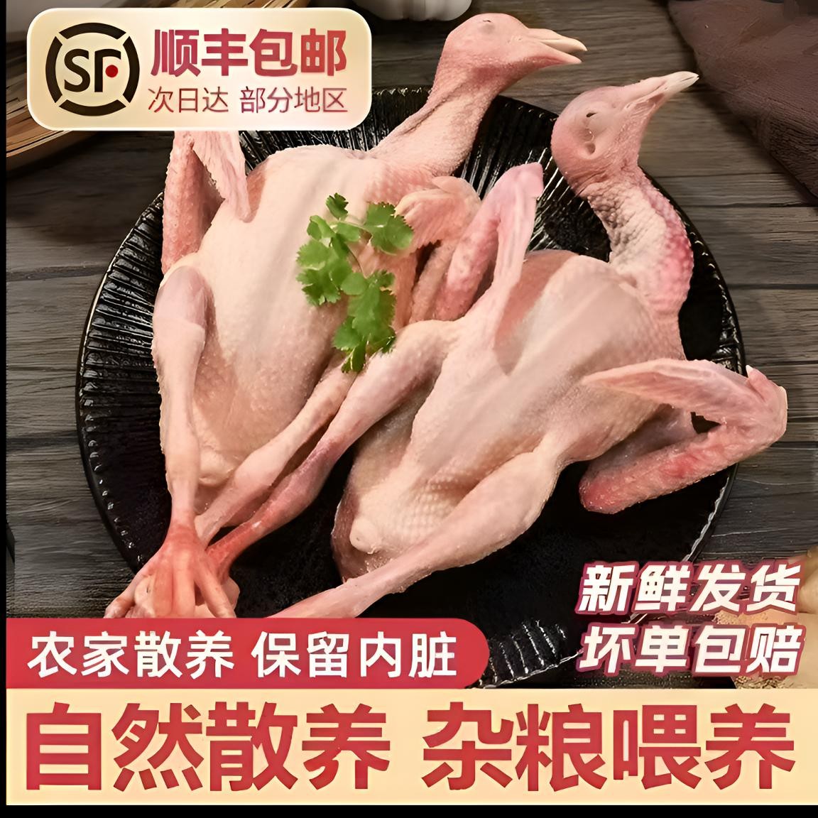 广水土鸽+鸽胗顺丰包邮新鲜现杀鸽子肉纯杂粮喂养农家土鸽可煲汤