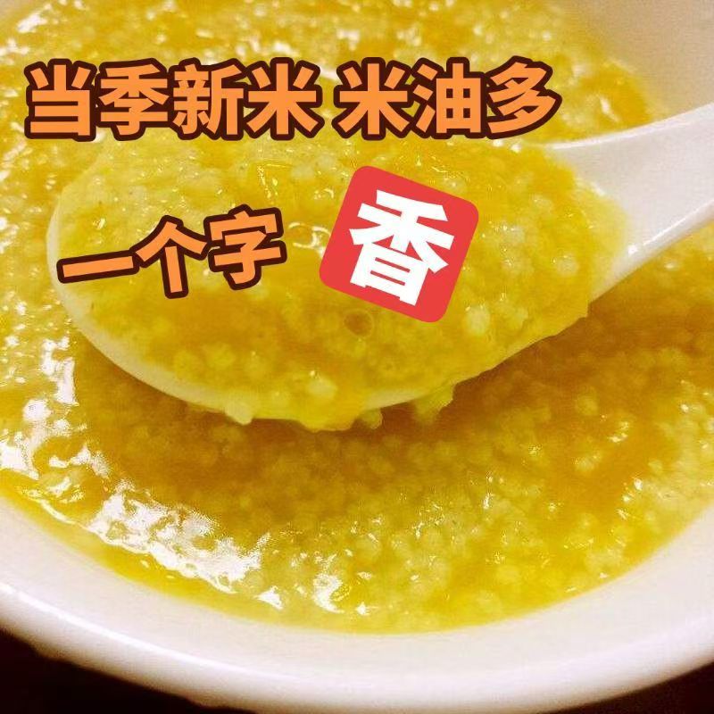2025年沂蒙山优质黄小米精选农家新米熬粥煮饭营养丰富五谷杂粮