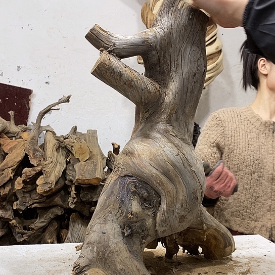 任***民柏木我们都是好孩子