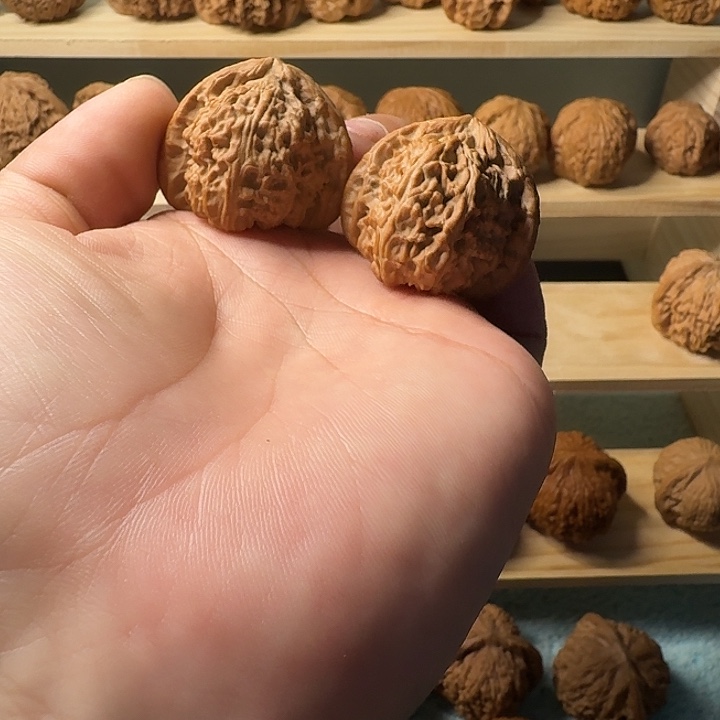 文玩核桃吊坠三角白