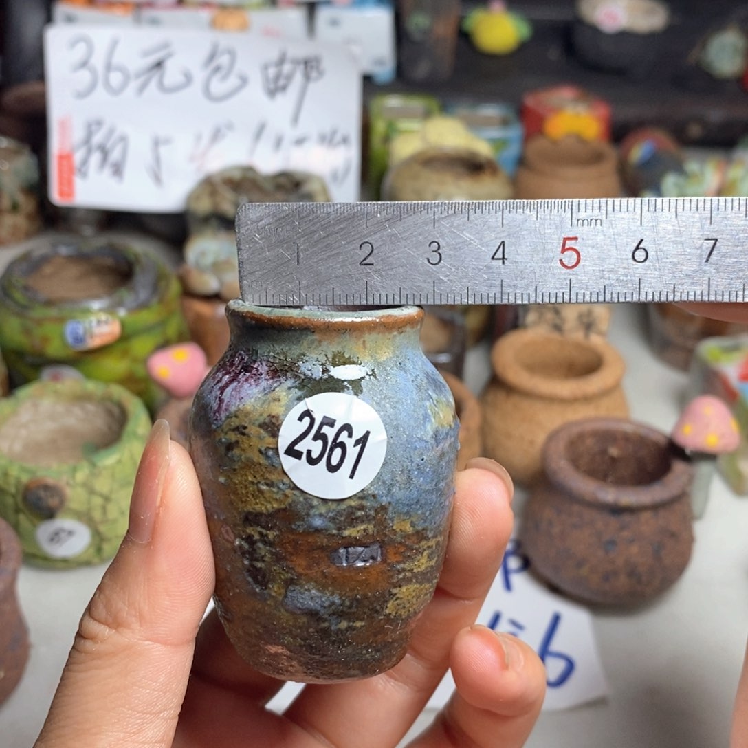 拍5送一个小礼物