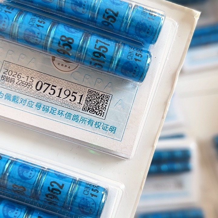 石*0751951 15 信鸽环