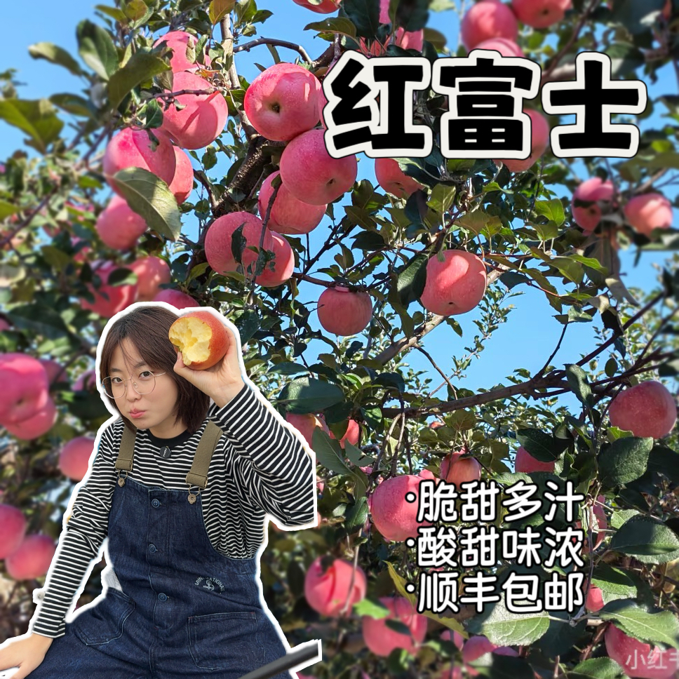 【红富士苹果】烟台苹果酸甜硬脆苹果4.5斤顺丰