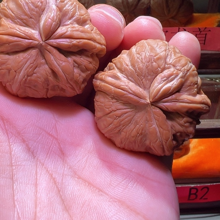 平谷元宝三棱犀牛麻核桃