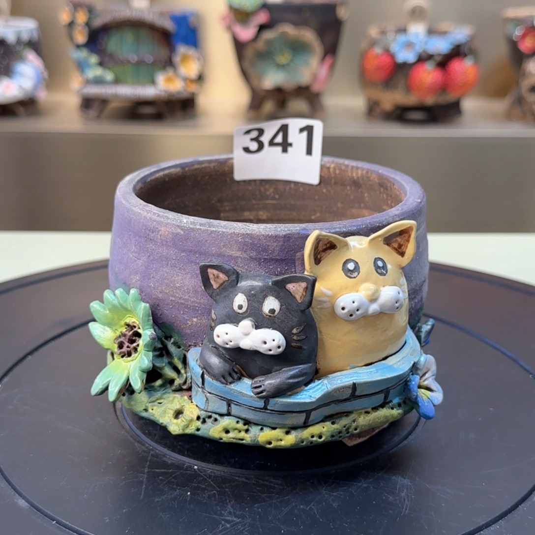 341 【闪购】多肉花盆