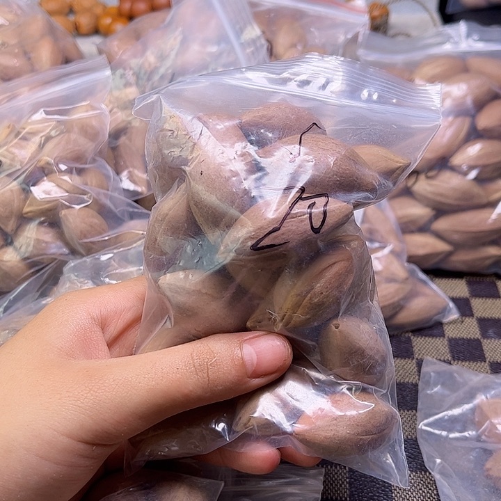 手串/手链橄榄核