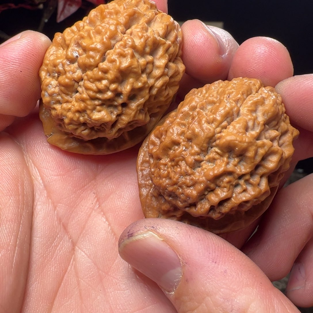 吊坠文玩核桃毒液41mm